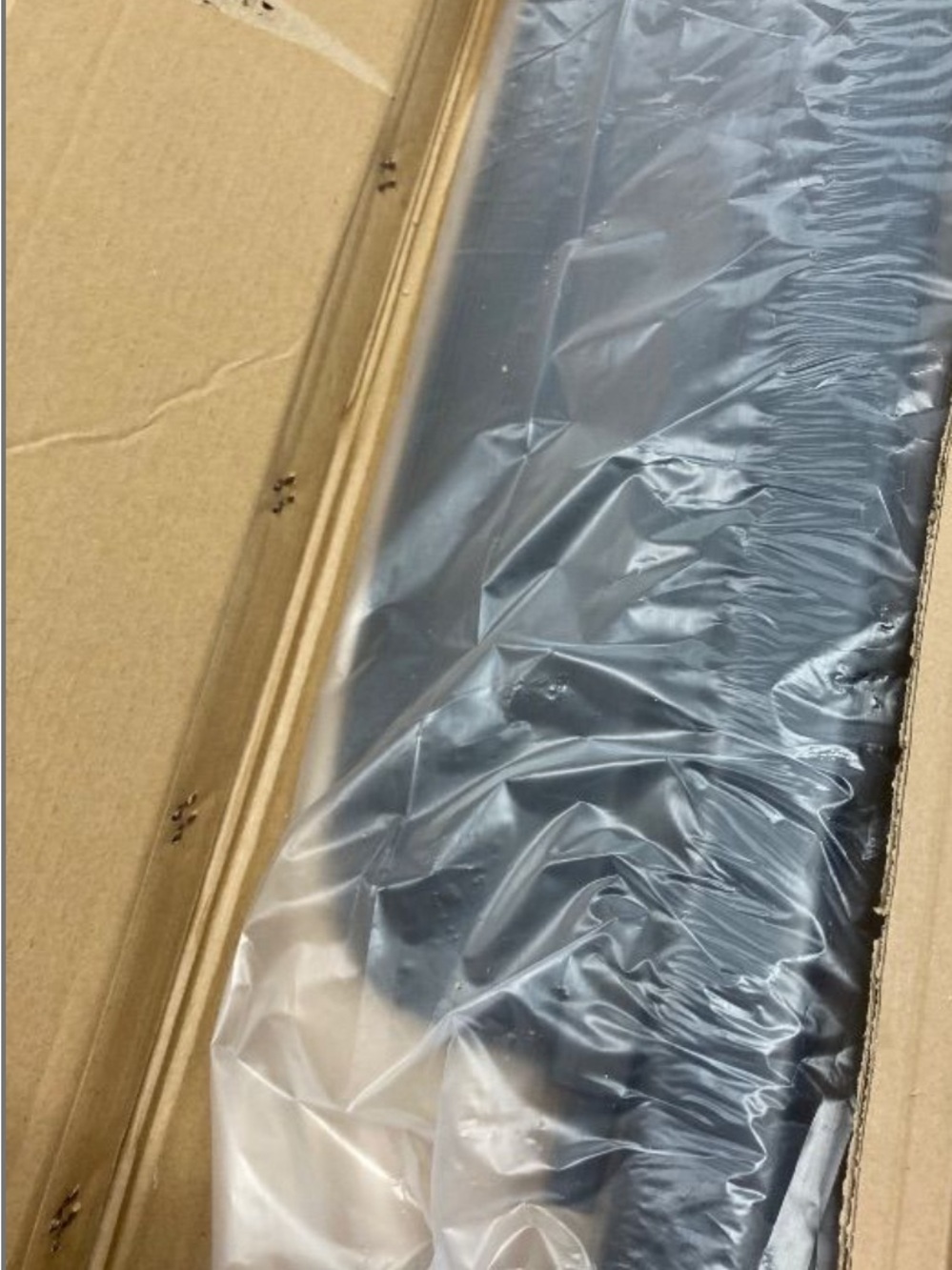 Trunk cargo cover